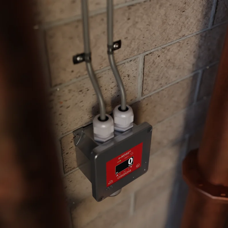 Oggioni DY for ATEX areas