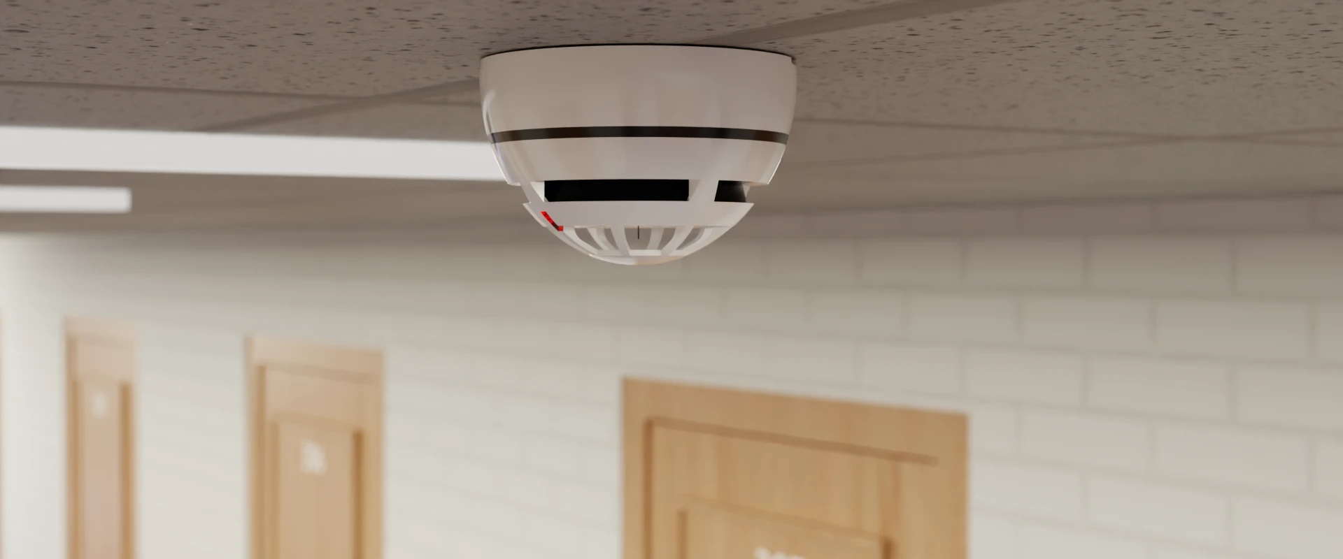 Xenos for Student Accommodations Detecto